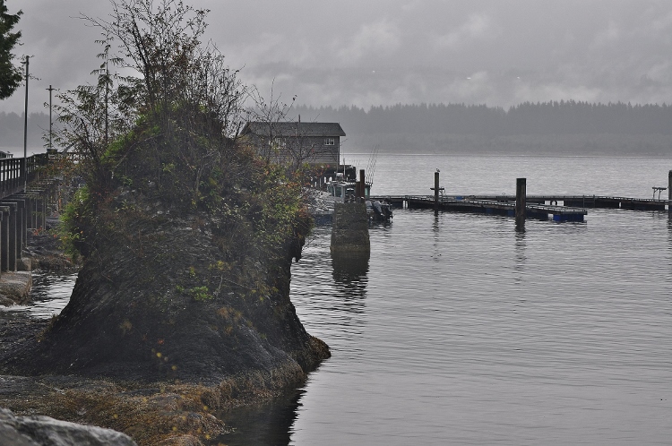 harbor dock